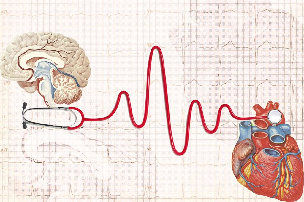 Heart Health Matters: The Connection Between Fitness and Cardiovascular Wellness Heart Health Matters: The Connection Between Fitness and Cardiovascular Wellness